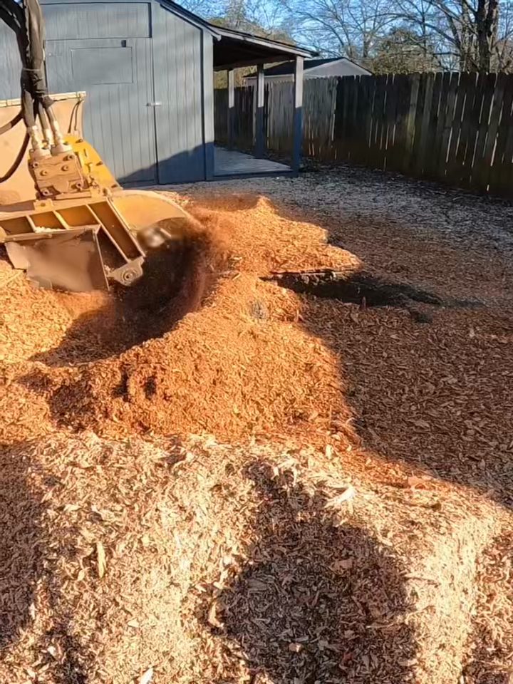 Stump grinder wheel chewing into a stump, throwing a mound of fresh wood chips across a backyard